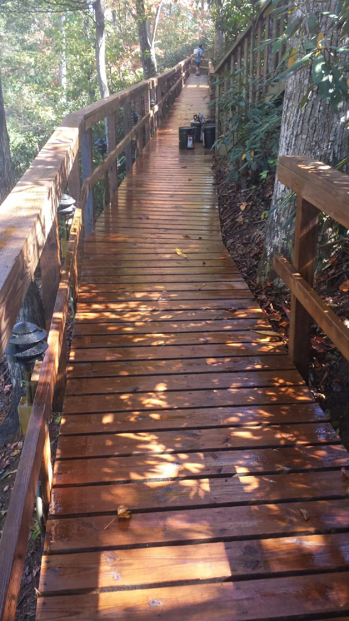 Freshly stained wood walkway winding through the woods in Trout Lake